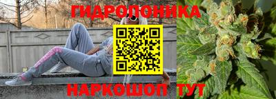мдпв Лесосибирск