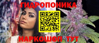 мяу мяу мука Ликино-Дулёво