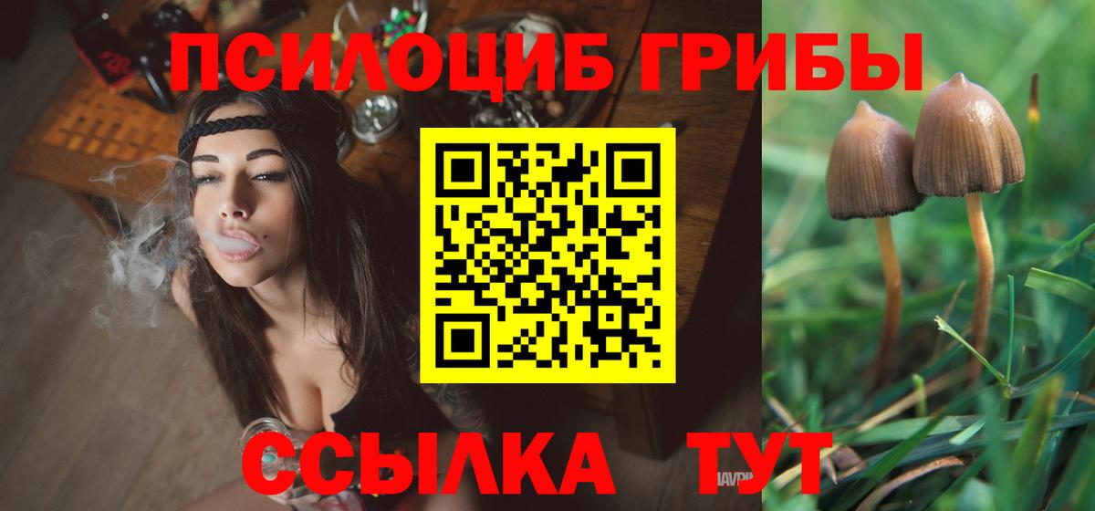 Выкса  Псилоцибиновые грибы GOLDEN TEACHER  Вход с VPN 